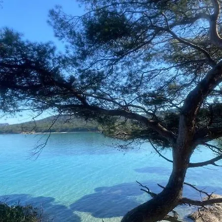 Ile De : T3 Climatise Vue 아파트