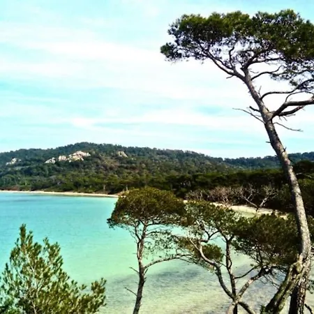 Ile De : T3 Climatise Vue Apartamento *
