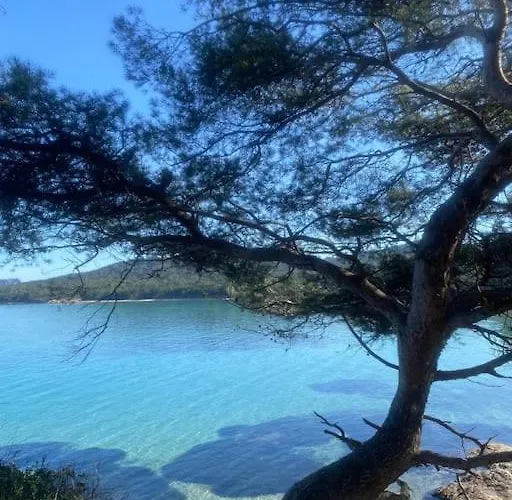 Ile De : T3 Climatise Vue アパート