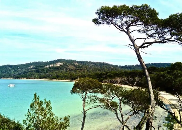 Ile De : T3 Climatise Vue شقة *